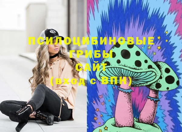 героин Алексин