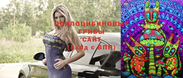 героин Алексин