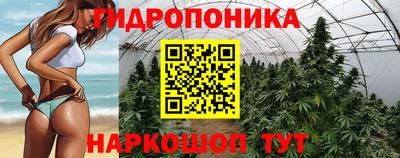 тгк Шебекино