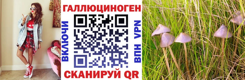 Галлюциногенные грибы Psilocybe  Алексин 