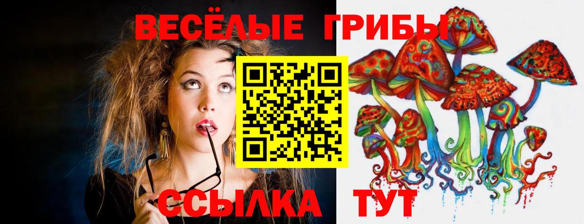 Алексин  Псилоцибиновые грибы мицелий  Псилоцибиновые грибы MAGIC MUSHROOMS  Вход с VPN 